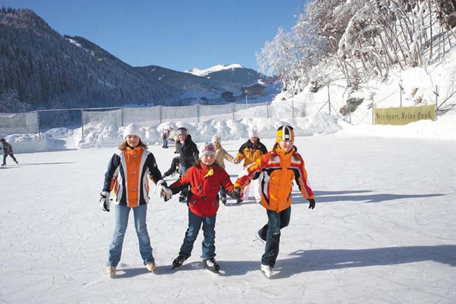 3 Musketiers Hébergement de vacances Viehhofen